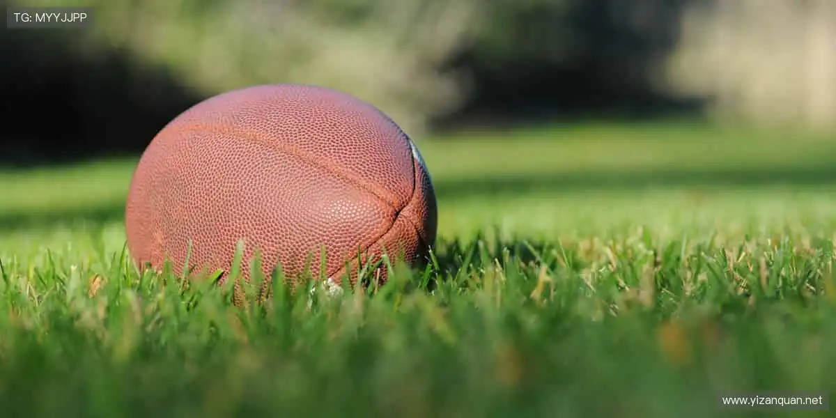 📺 高清直播,实时互动!不错过每一个心跳瞬间!